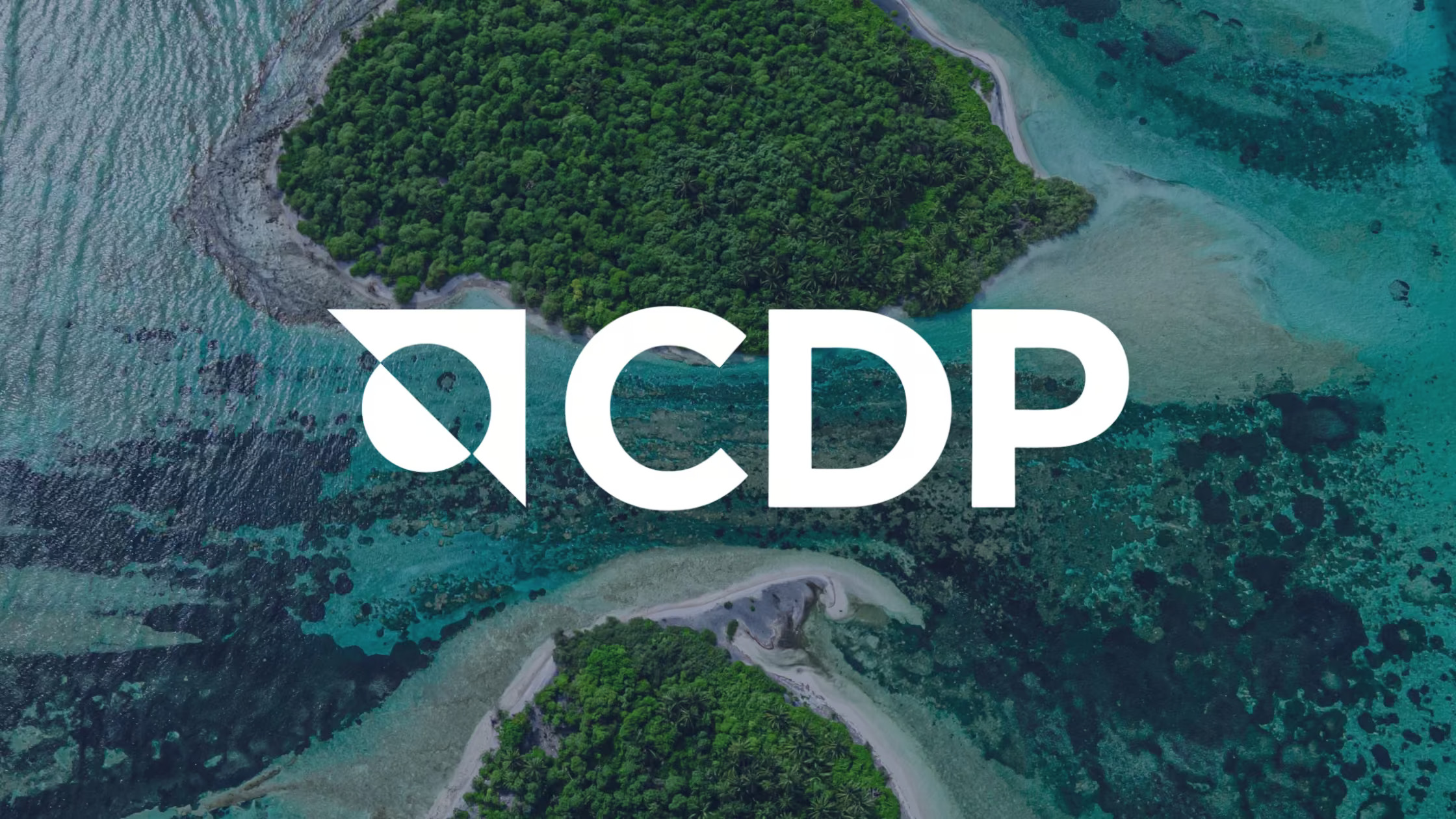 CDP Climate Change Questionnaire - A Complete Submission Guide