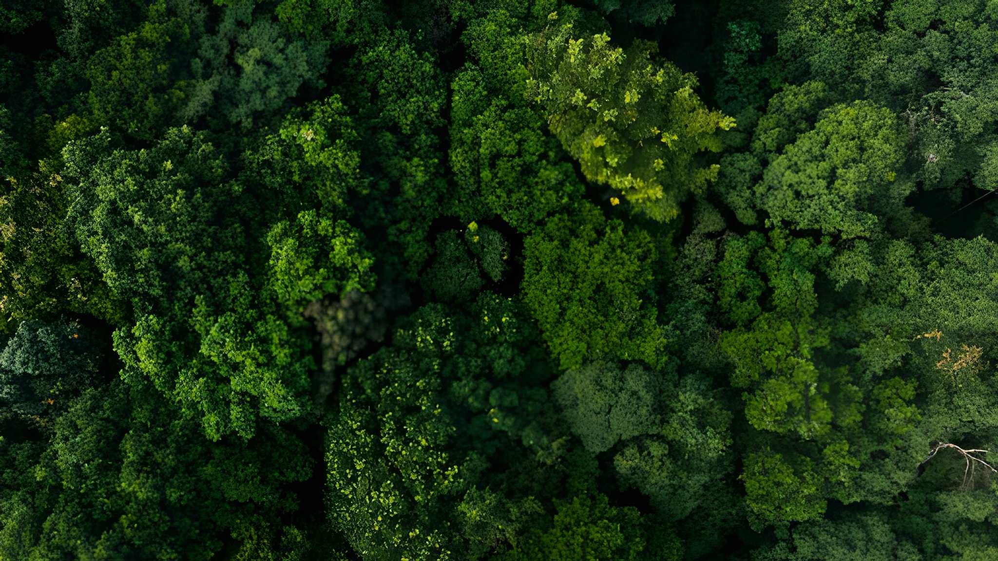 Bursa Malaysia Sustainability Reporting 2026: Your Step-by-Step Compliance Playbook