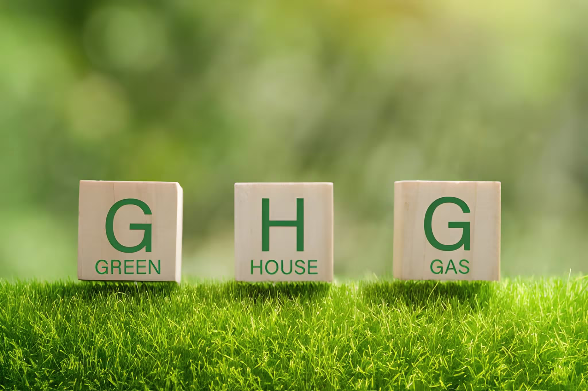 7xm.xyz_d0338a886e62ef33 (1).avif