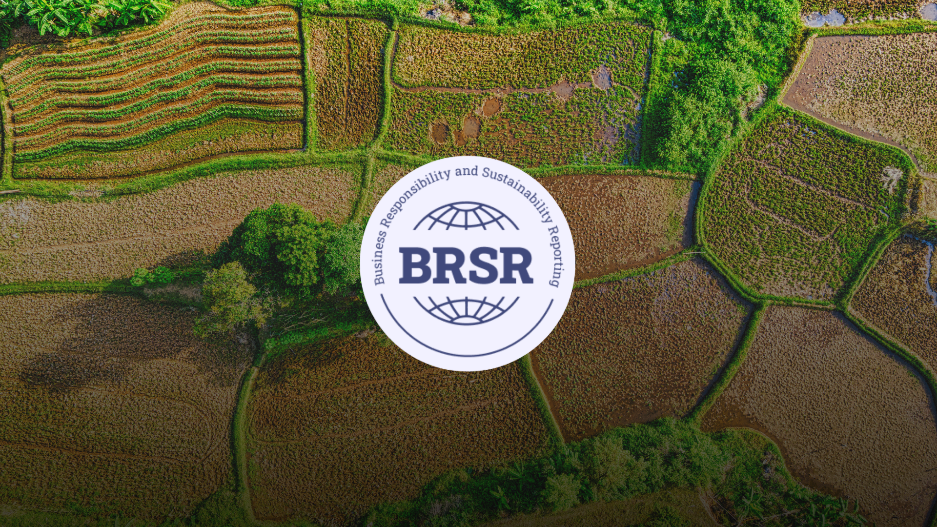 BRSR Reporting Format: Sections, Structure & Disclosures Explained