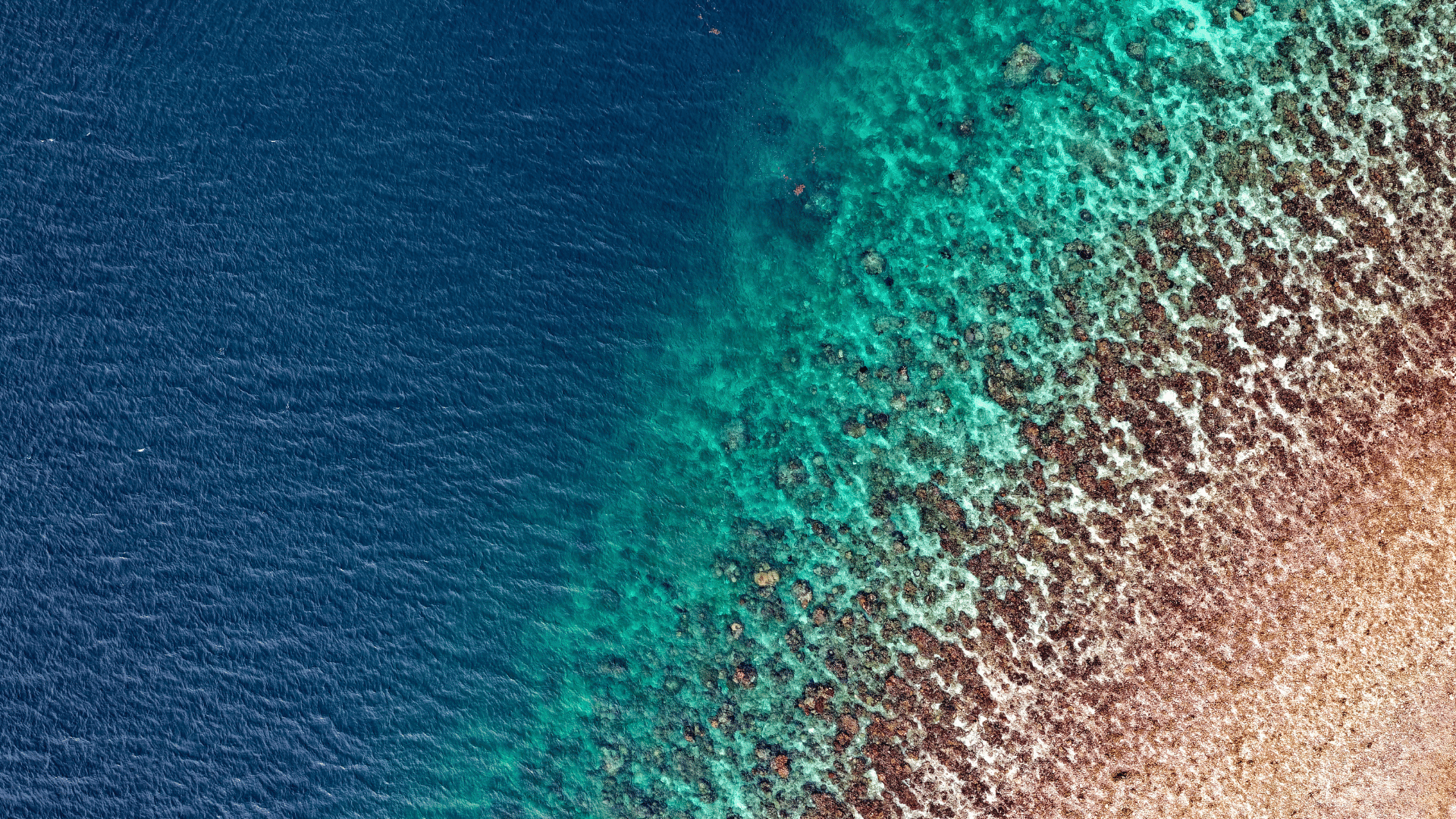 Scope 1, 2 & 3 Emissions in Malaysia: What Your Company Must Report by 2027