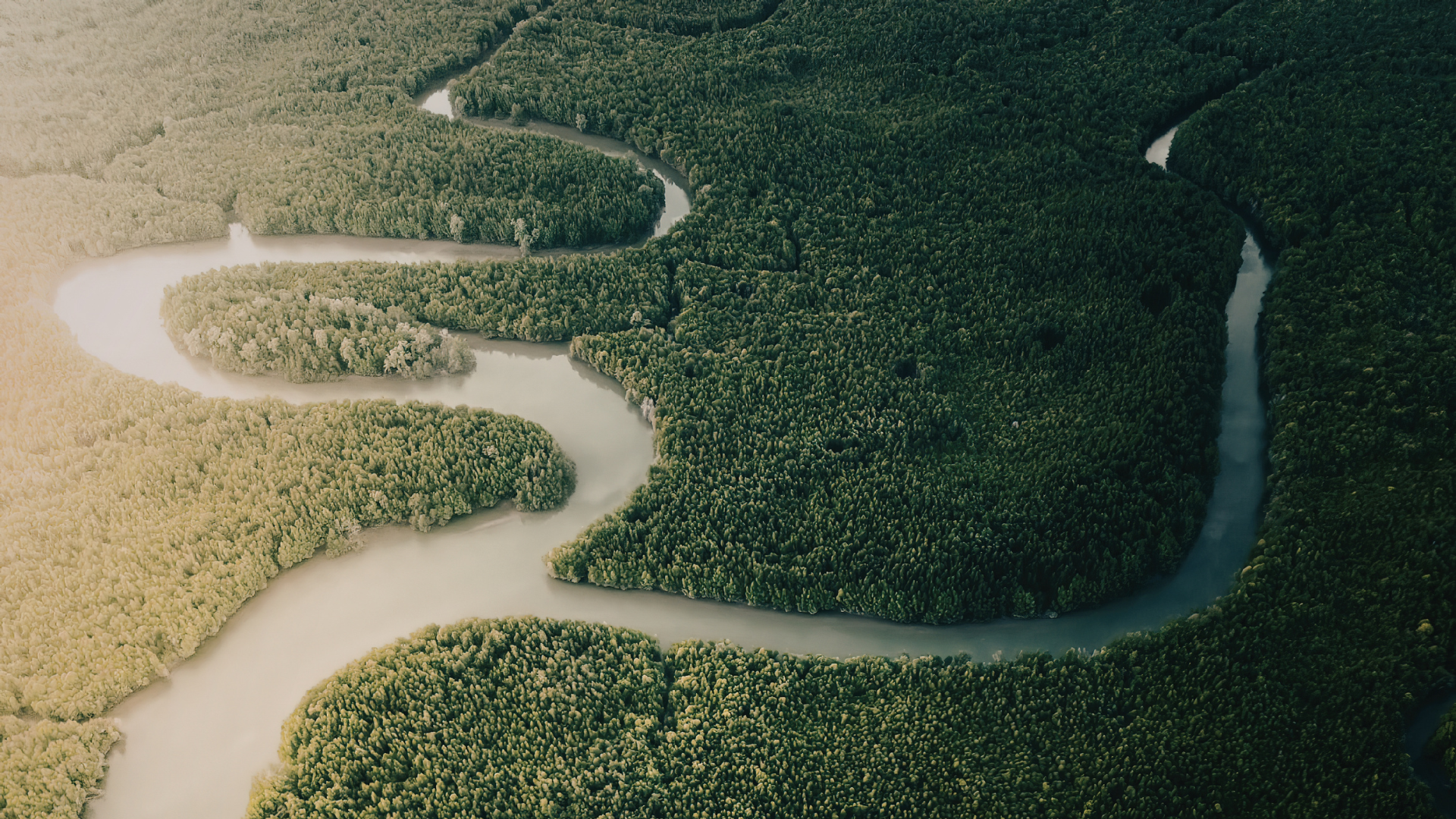 CDP Handbook: Climate, Water & Forests