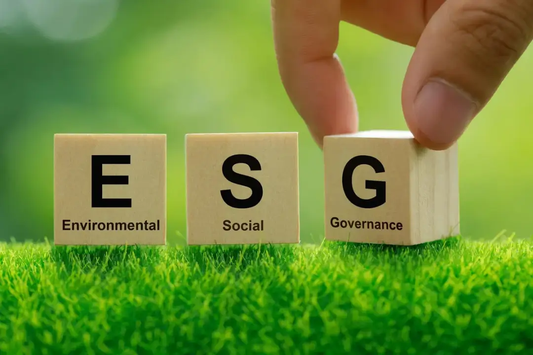 ESG and Sustainability for Chief Financial Officers (CFO)