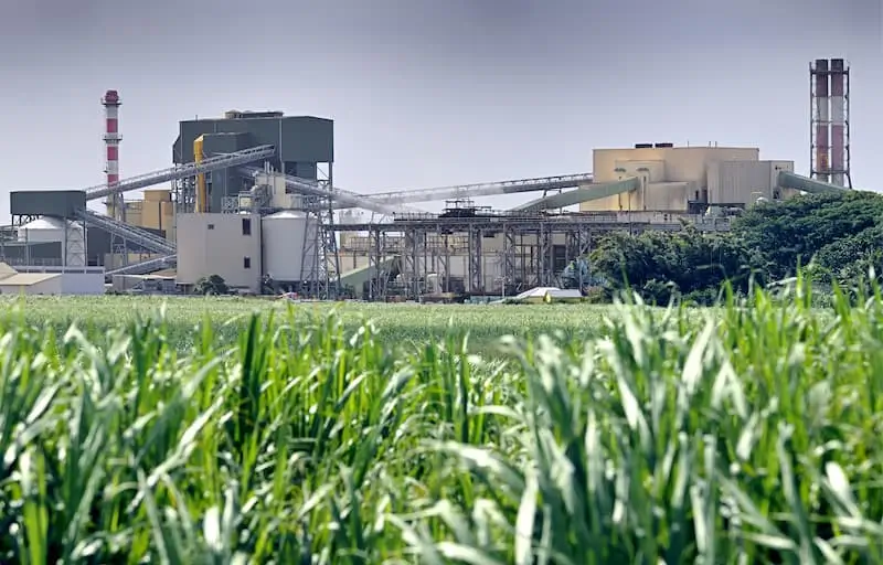 Chemical plant emitting greenhouse gases, highlighting the industry's carbon footprint challenges