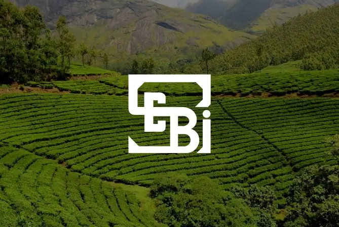 SEBI's BRSR reporting sections: General Disclosure, Management & Process Disclosure, and Principle-Wise Performance