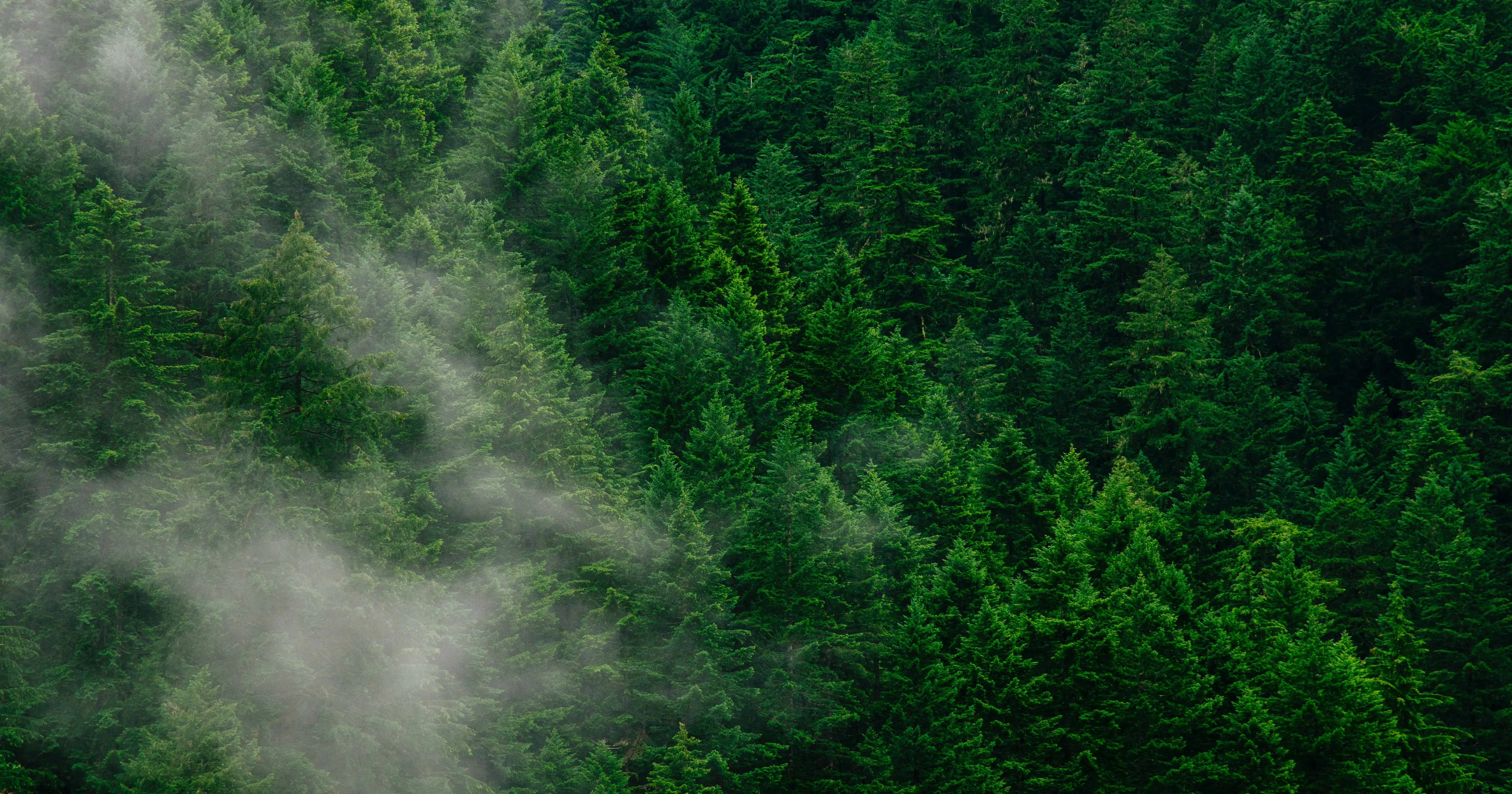 Global business adapting to stakeholder capitalism principles, with emphasis on ESG reporting and sustainability standards like GRI