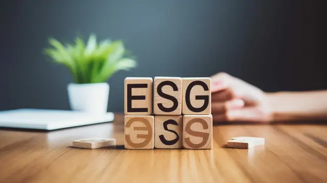 Example of an ESG report from an Indian company, aligning with SEBI's BRSR framework for sustainability reporting