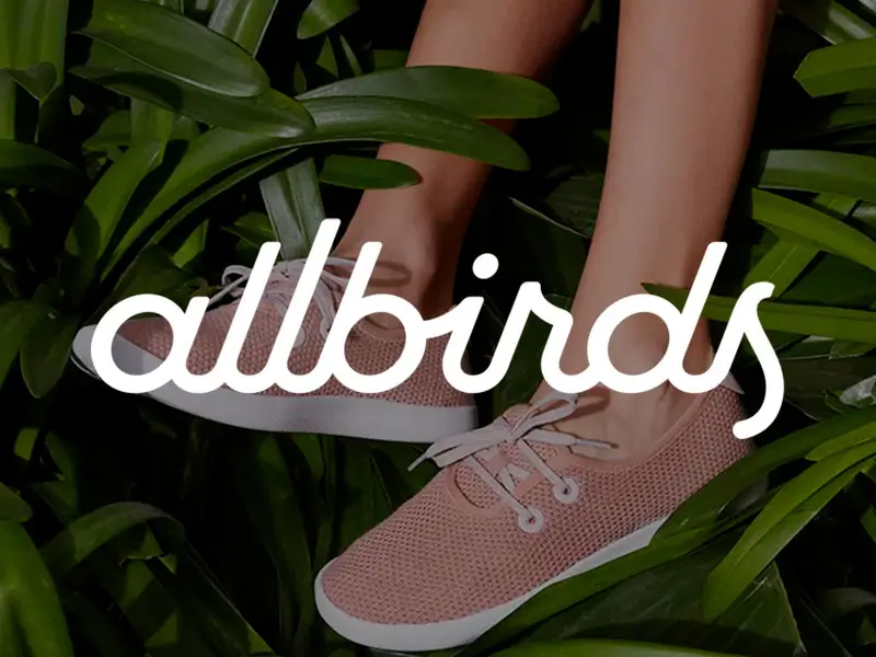 Allbirds sustainability report highlighting environmental commitments ahead of their IPO